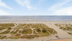 Una playa con una zona arenosa y algo de vegetación al frente.