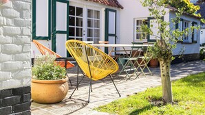 Un patio con muebles de exterior, una planta en maceta y un pequeño árbol.