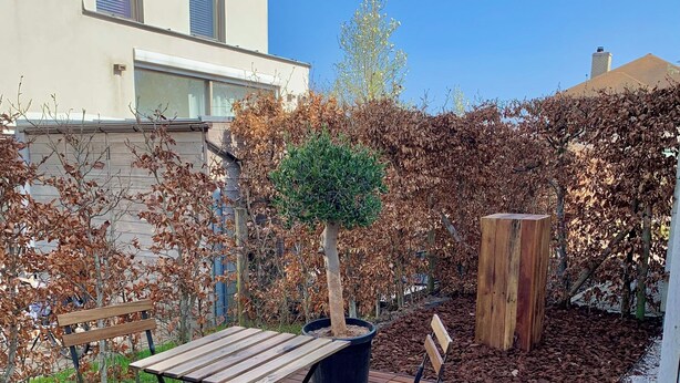 A wooden deck with a table and chairs, surrounded by a hedge and a building. - 2 bedroom accommodation in Oostduinkerke (Oostduinkerke)