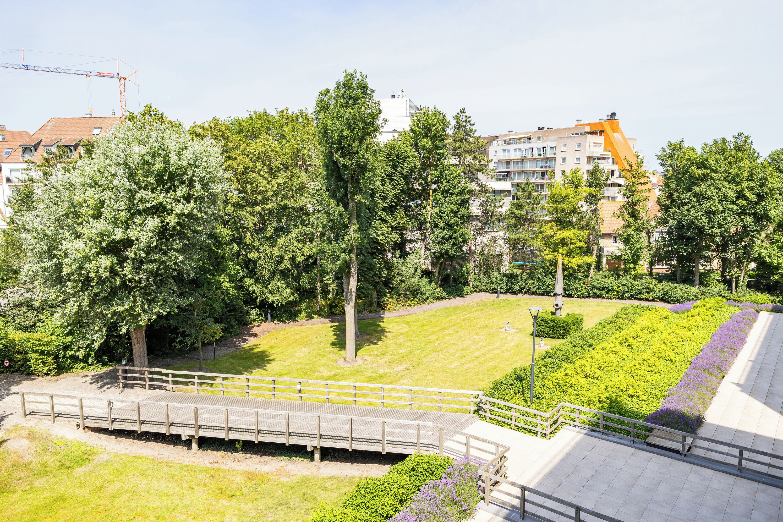 Een park met een houten brug, een gazon en een rij gebouwen op de achtergrond.