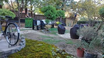 Shared Dormitory | Terrace/patio
