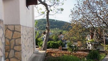 Área da propriedade