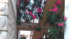Outdoor dining - Apartments Ana (Crikvenica)