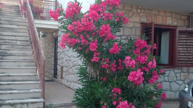 Exterior detail - Apartments Ana (Crikvenica)