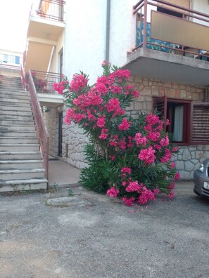 Detalhe da fachada