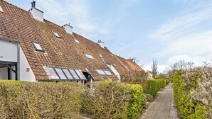 Een rij terraswoningen met puntige daken en dakkapellen.