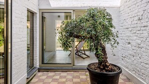 Ein Bonsai-Baum im Topf in einem Innenhof mit weißen Ziegeln und einer Glastür, die zu einem Raum führt.