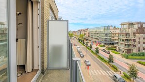 Uklassifisert bilde, 2 av 17, knapp