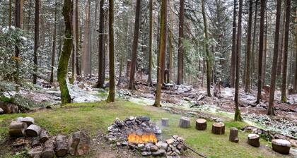 Cozy Cabin in the Forest w BBQ Firepit and More