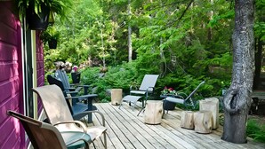 2 bedrooms, high-speed internet - Cozy Cabin in the Forest (Northern Bruce Peninsula)