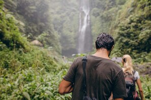 A person standing in a lush, green forest with a waterfall in the background.