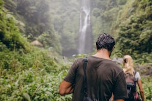 Iemand staat in een weelderig, groen bos, met een waterval op de achtergrond.