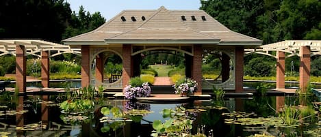 Apartment, Accessible | Desk, Internet