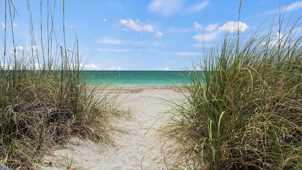 På stranden