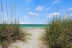 A sandy beach path leading to the ocean, surrounded by tall grass.
