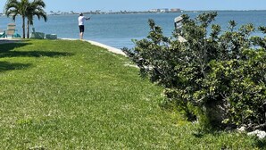 A grassy area with a person fishing by the water. - Direct waterfront home on the Gulf of Mexico. Dunedin.  (Dunedin)