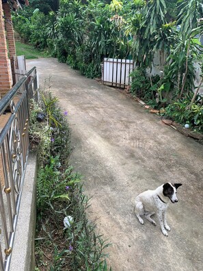 Property grounds