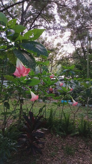 Property grounds - Nice RV with AC in Belleview - Perfect for a cozy getaway (Belleview)