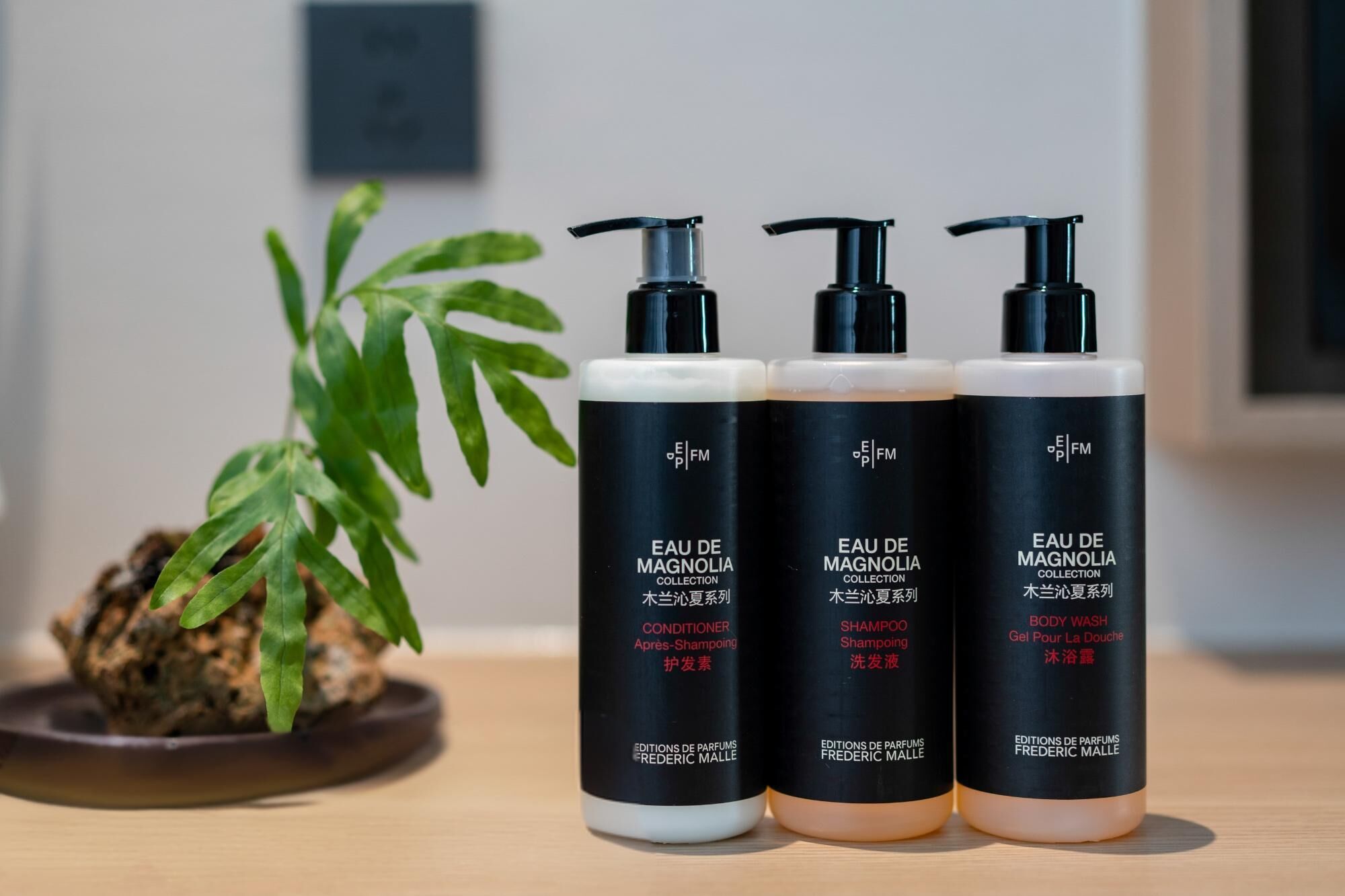 Tres botellas de la colección Eau de Magnolia sobre una superficie de madera, con una planta al fondo.