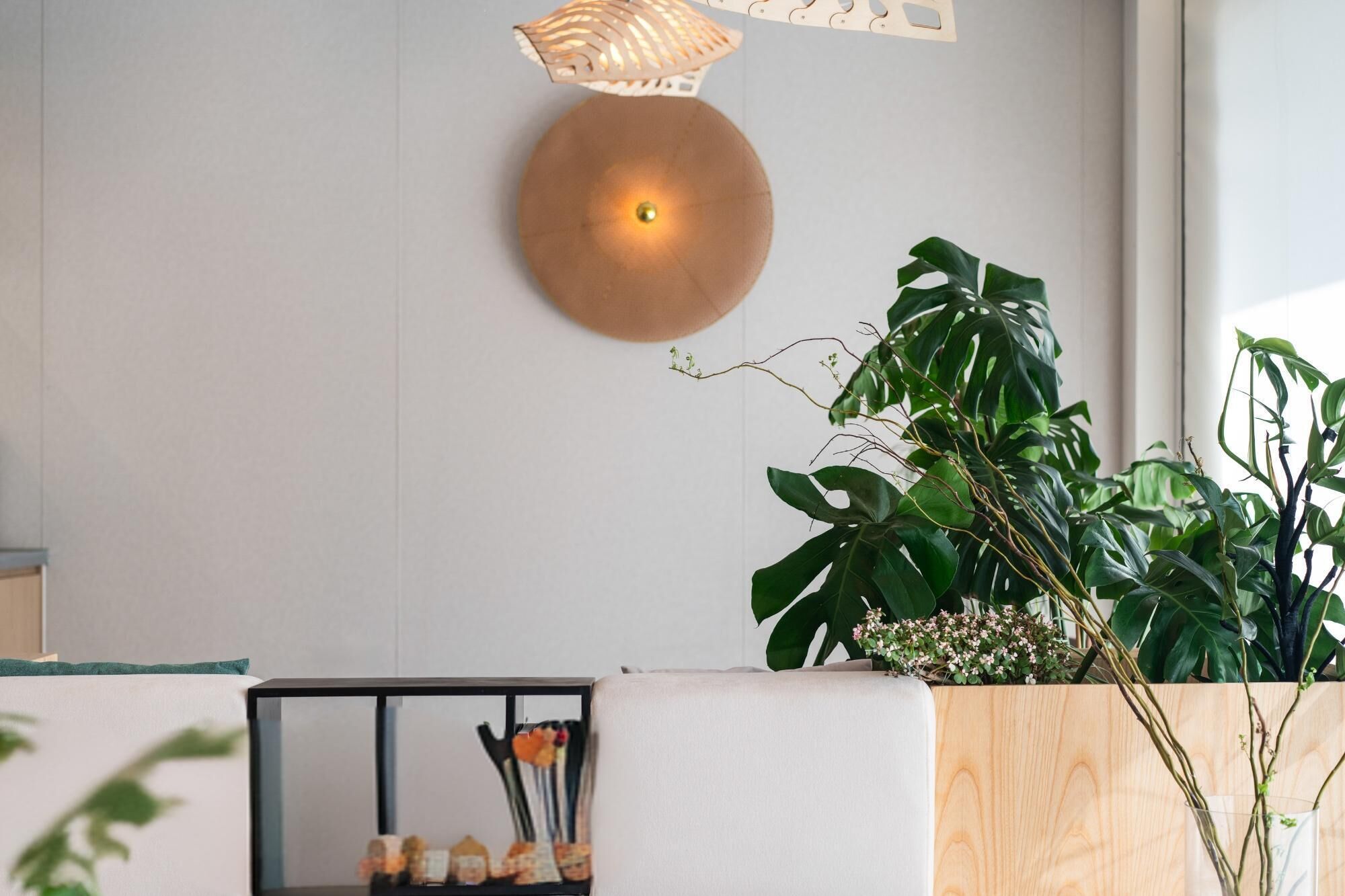 Un interior moderno con una lámpara redonda fijada a la pared, una planta verde grande y un mueble de madera con puerta de cristal.