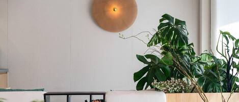 Un interior moderno con una lámpara redonda fijada a la pared, una planta verde grande y un mueble de madera con puerta de cristal.