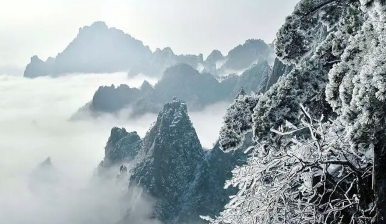 A mountainous landscape with snow-covered trees and peaks.
