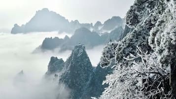 A mountainous landscape with snow-covered trees and peaks.