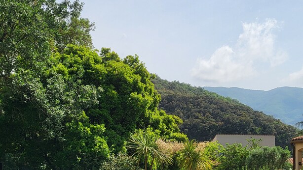 Una piscina con agua azul cristalina, rodeada de exuberante vegetación y vistas a colinas distantes.