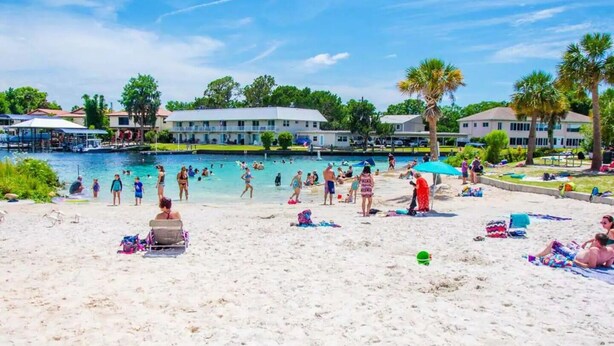 A beach with a swimming pool, palm trees, and beach chairs. - Private Crystal River Getaway Minutes to Springs! (Crystal River)