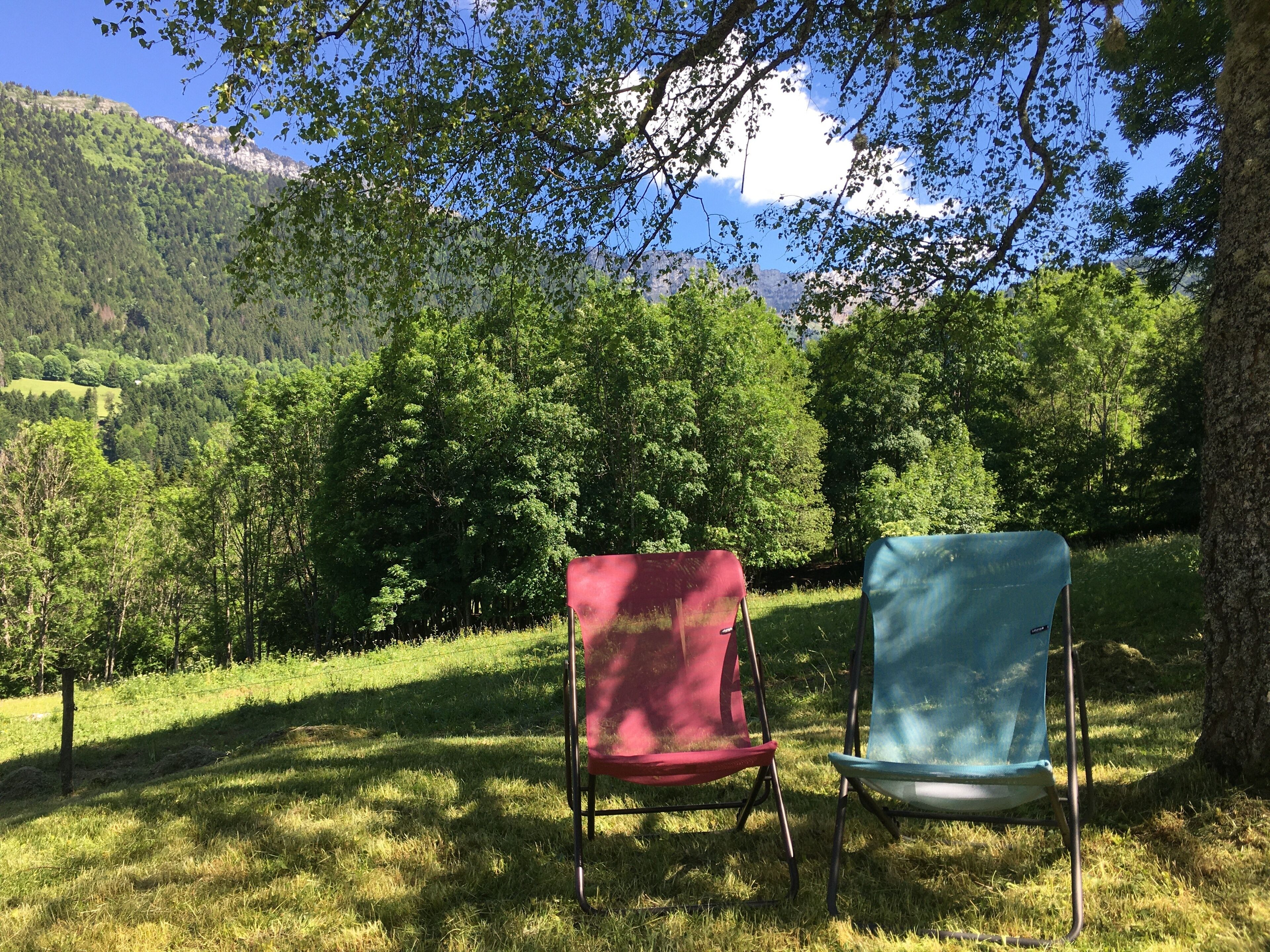 Two chairs under a tree in a grassy field with a mountain in the background.