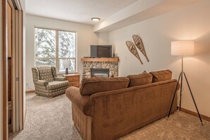 Téléviseur, foyer, livres