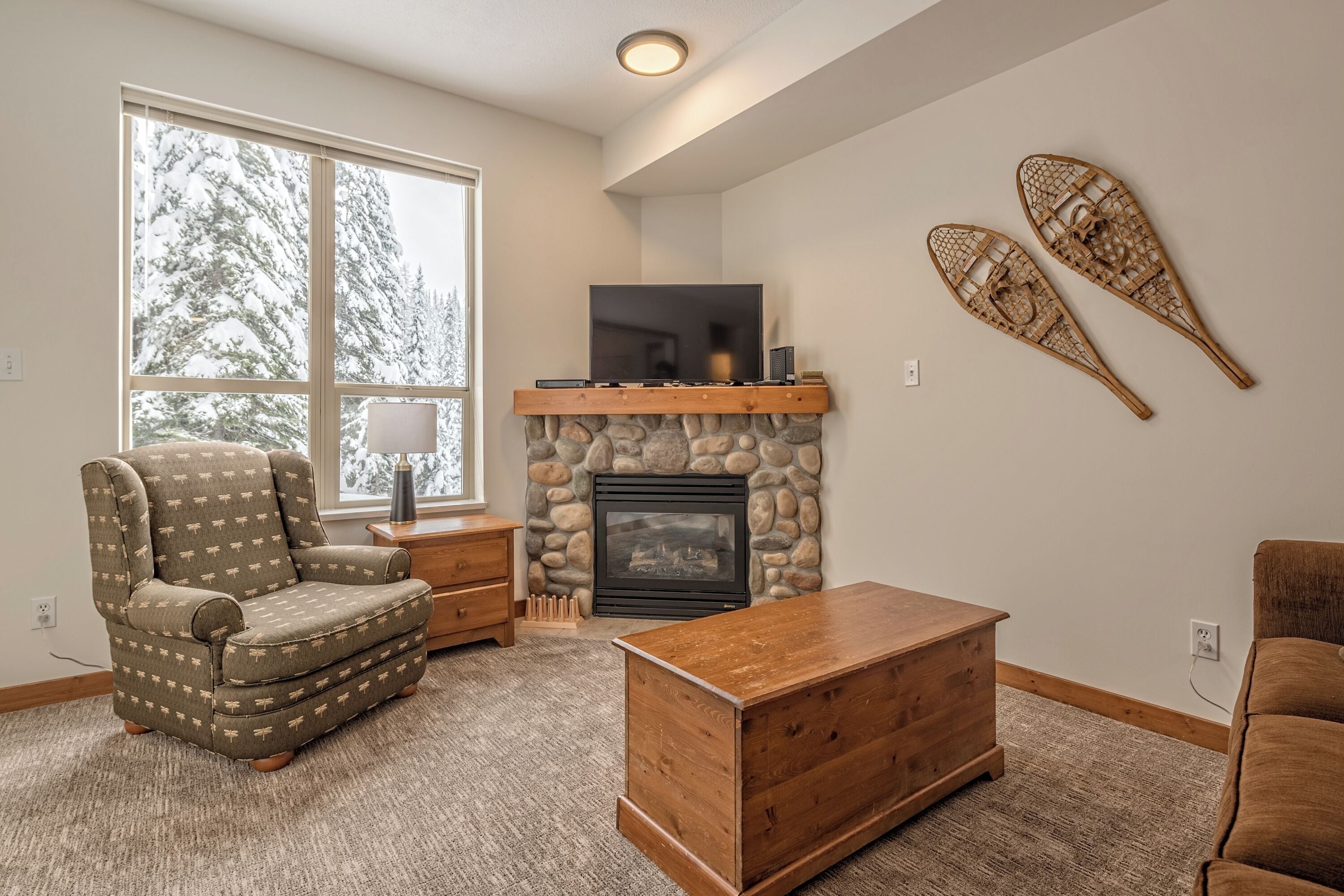 TV, fireplace, books