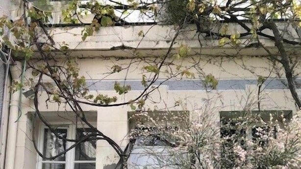 A quaint house with a white door, a window with a potted plant, and ivy climbing over the walls. - Charming T2 near beach of Trouville-sur-Mer (Trouville-sur-Mer)