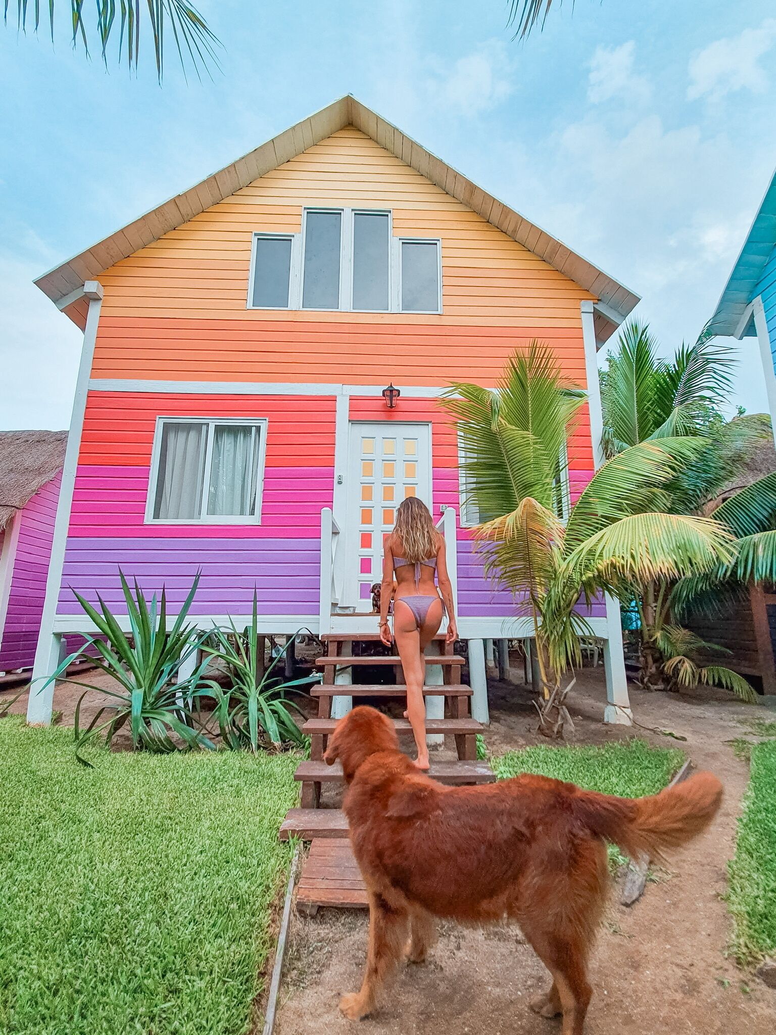 Foto - Whyknot Holbox