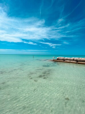 Exterior - Whyknot Holbox (Isla Holbox)