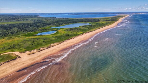 Vista aérea de una zona costera con playa de arena, vegetación verde y una gran masa de agua.