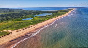 Oversigtsbillede af et kystområde med en sandstrand, grøn vegetation og et stort vandareal.
