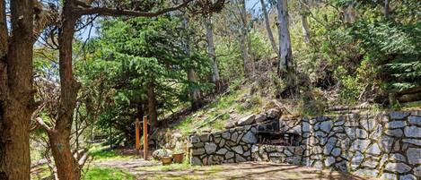 Área da propriedade