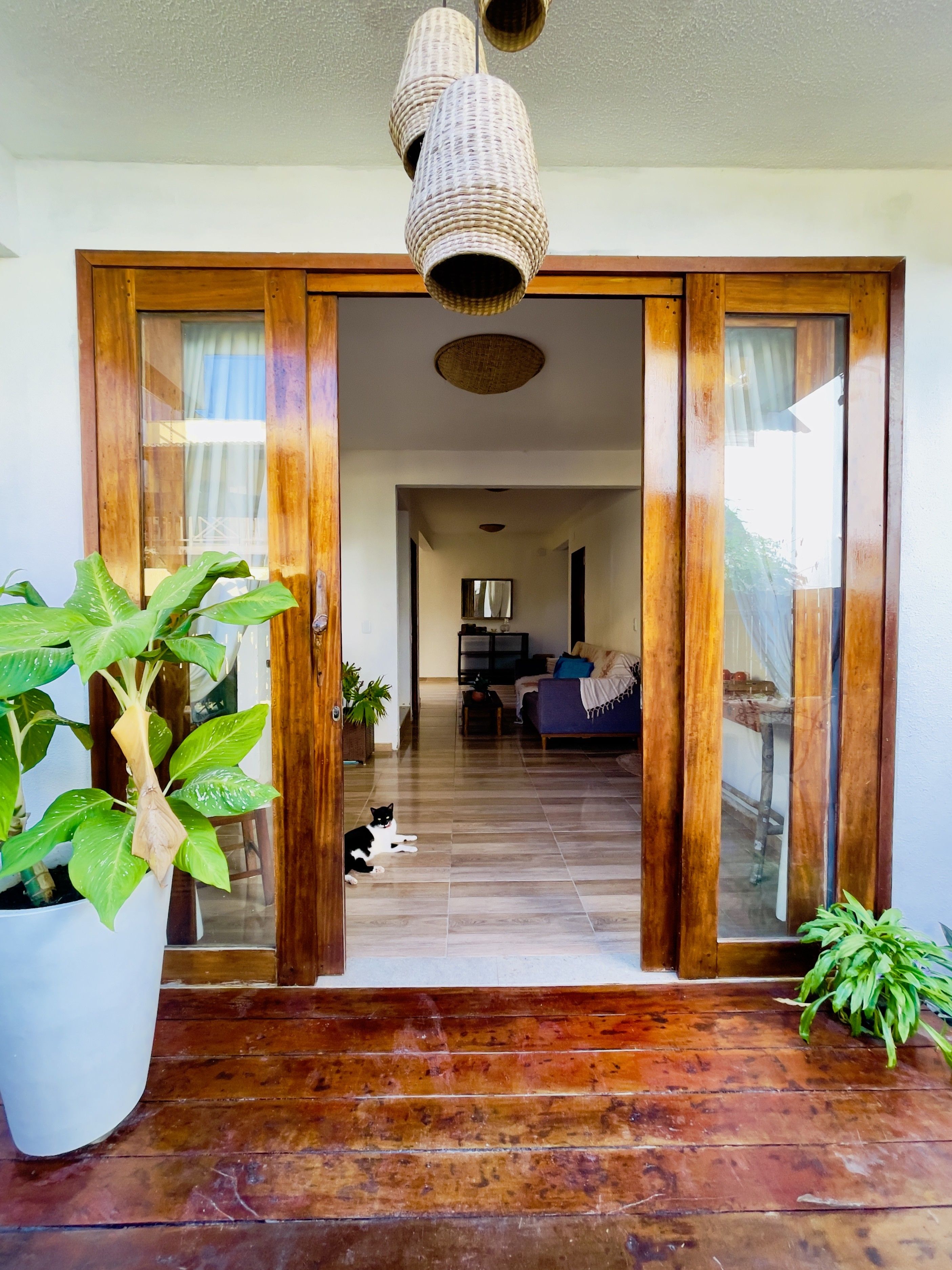 Porta deslizante de madeira que dá para uma sala de estar com um sofá e um gato.