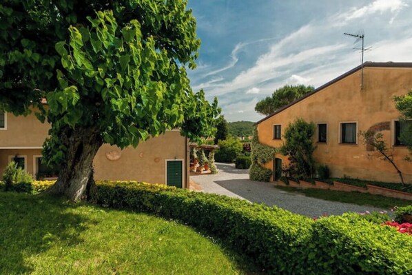 Terrein van de accommodatie