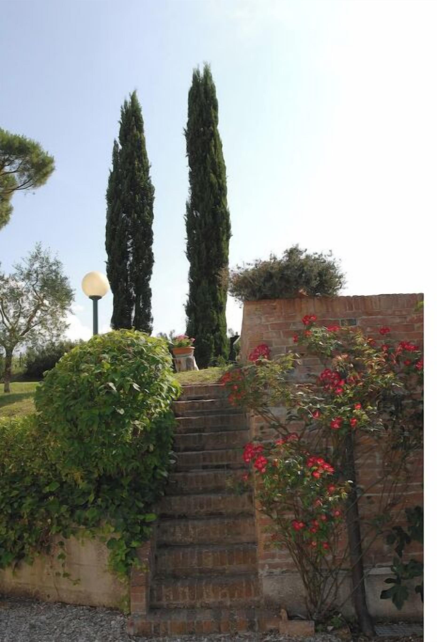 Un jardín con muro de ladrillo, farol y altos cipreses.
