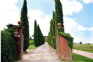 Property grounds - Margherita (Tuscany)