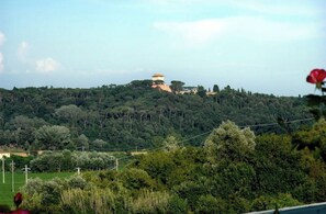 الإطلالة من المنشأة