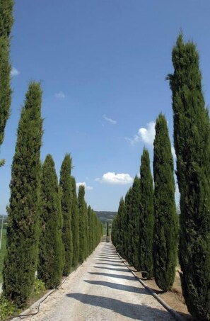 منوع