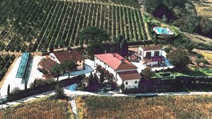 Vista aérea de um vinhedo com fileiras de videiras, uma piscina e vários edifícios com telhados vermelhos.