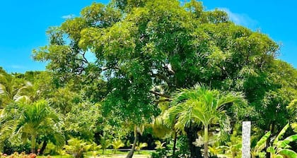 Tropical Garden House