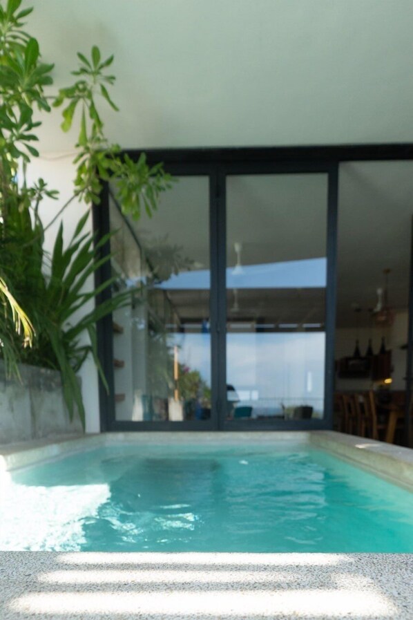 Una piscina con parete in vetro e piante in vaso.