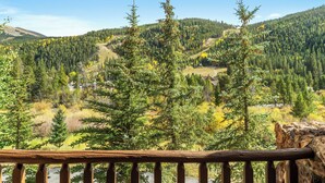 A mountainous landscape with dense forests and a clear sky. - Hr5961-2 (Keystone)