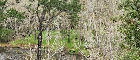 Terrain de lâhĂ©bergement