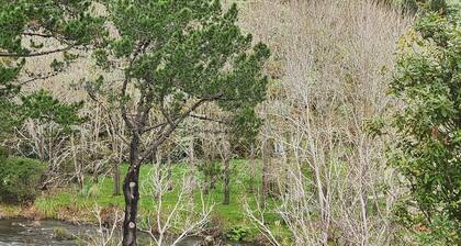 Thames River Valley Studio Retreat 1